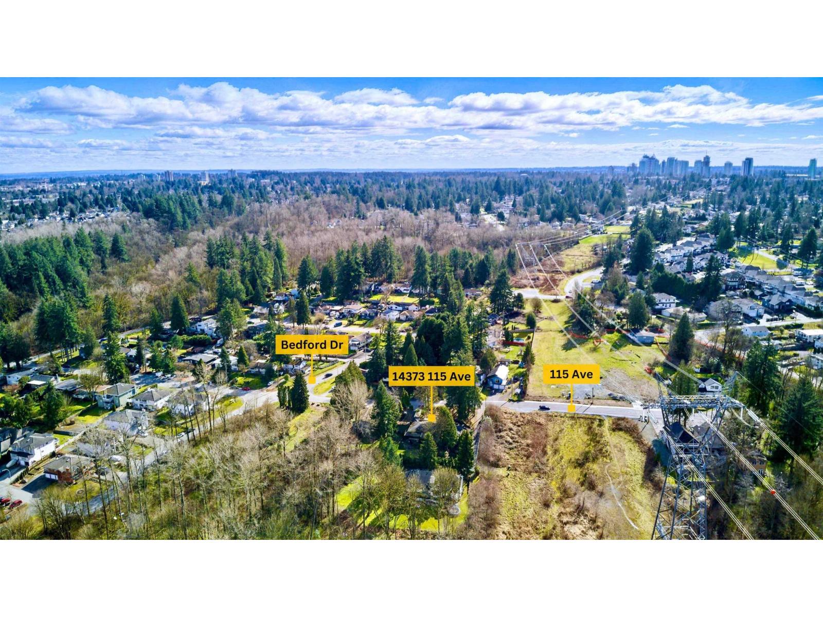 14373 115 Avenue, Surrey, British Columbia  V3R 2P9 - Photo 3 - R3107258