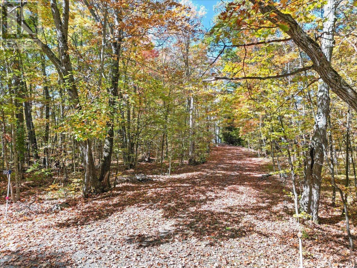 105 High Shore Road, Marmora And Lake, Ontario  K0K 2M0 - Photo 38 - X13090216