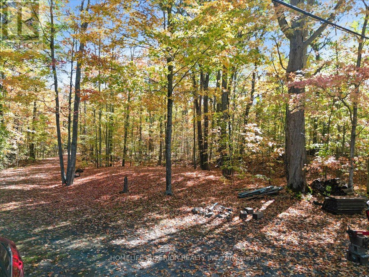 105 High Shore Road, Marmora And Lake, Ontario  K0K 2M0 - Photo 39 - X13090216