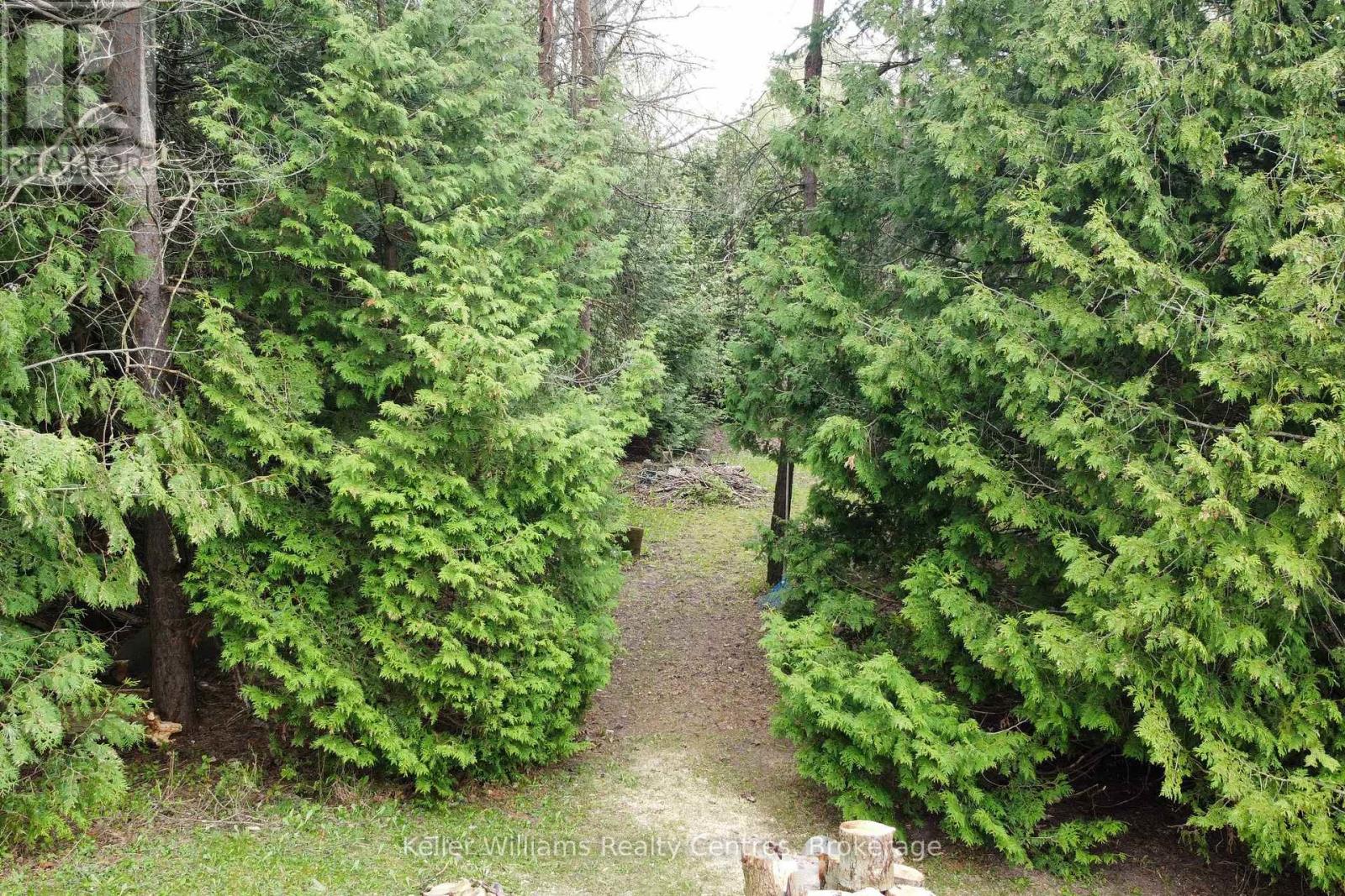 150 Douglas Street W, West Grey, Ontario  N0G 1R0 - Photo 31 - X13090250