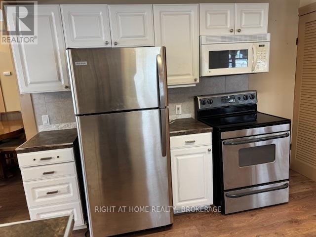 3906 Alexandra Road, Fort Erie, Ontario  L0S 1B0 - Photo 21 - X12643230