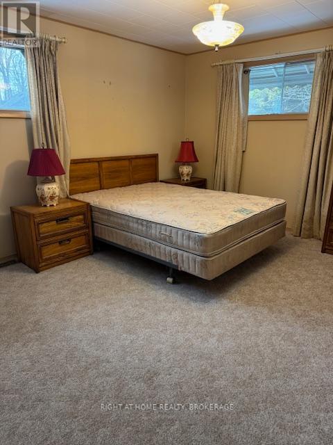 3906 Alexandra Road, Fort Erie, Ontario  L0S 1B0 - Photo 28 - X12643230