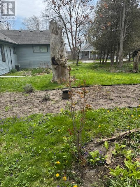 3906 Alexandra Road, Fort Erie, Ontario  L0S 1B0 - Photo 34 - X12643230