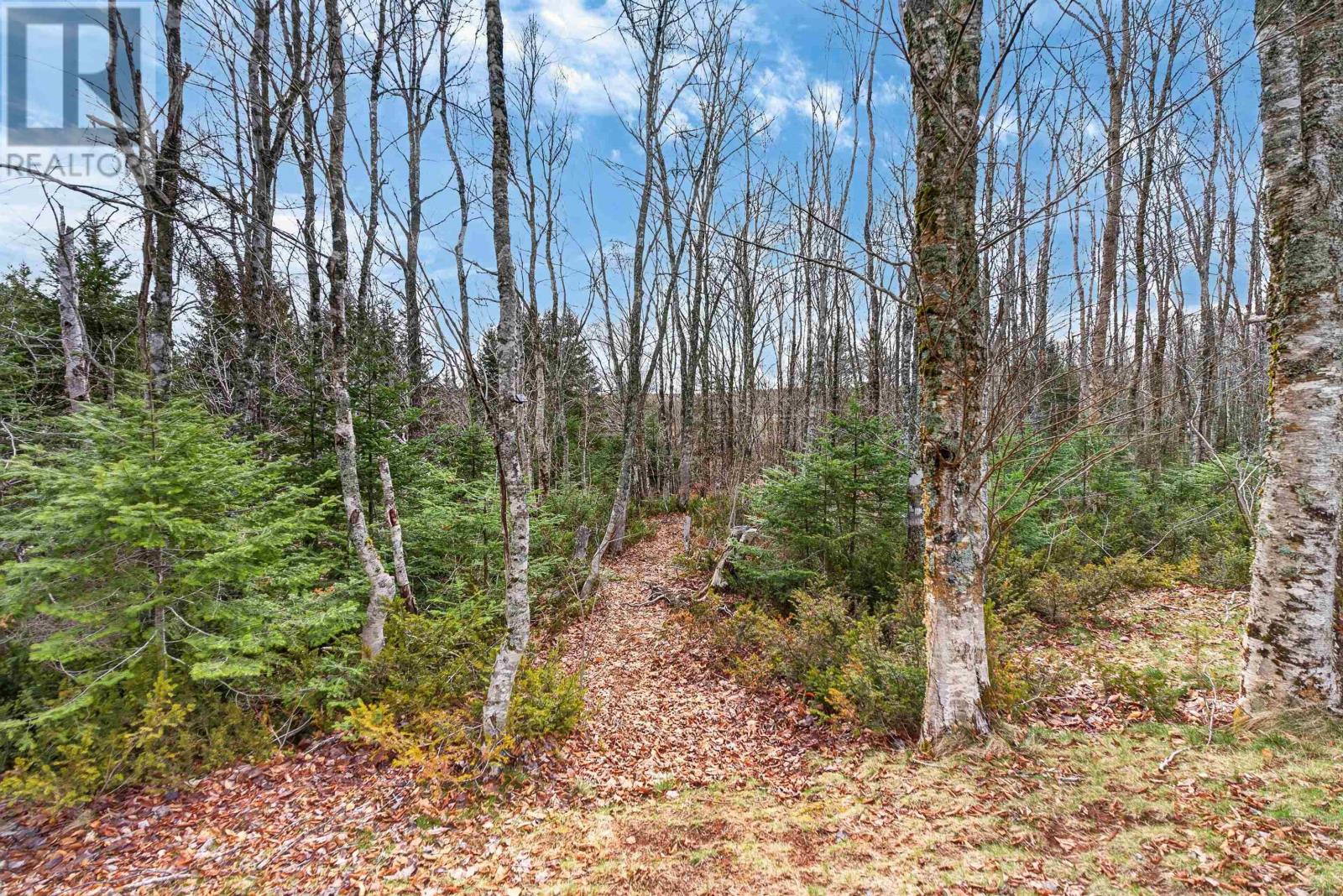 15 Silver Tree Lane, Grahams Road, Prince Edward Island  C1N 2E1 - Photo 23 - 202609900