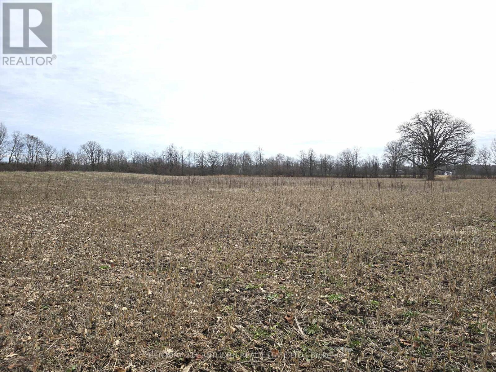 175 Hall Settlement Road, Belleville, Ontario  K0K 2V0 - Photo 32 - X12585740