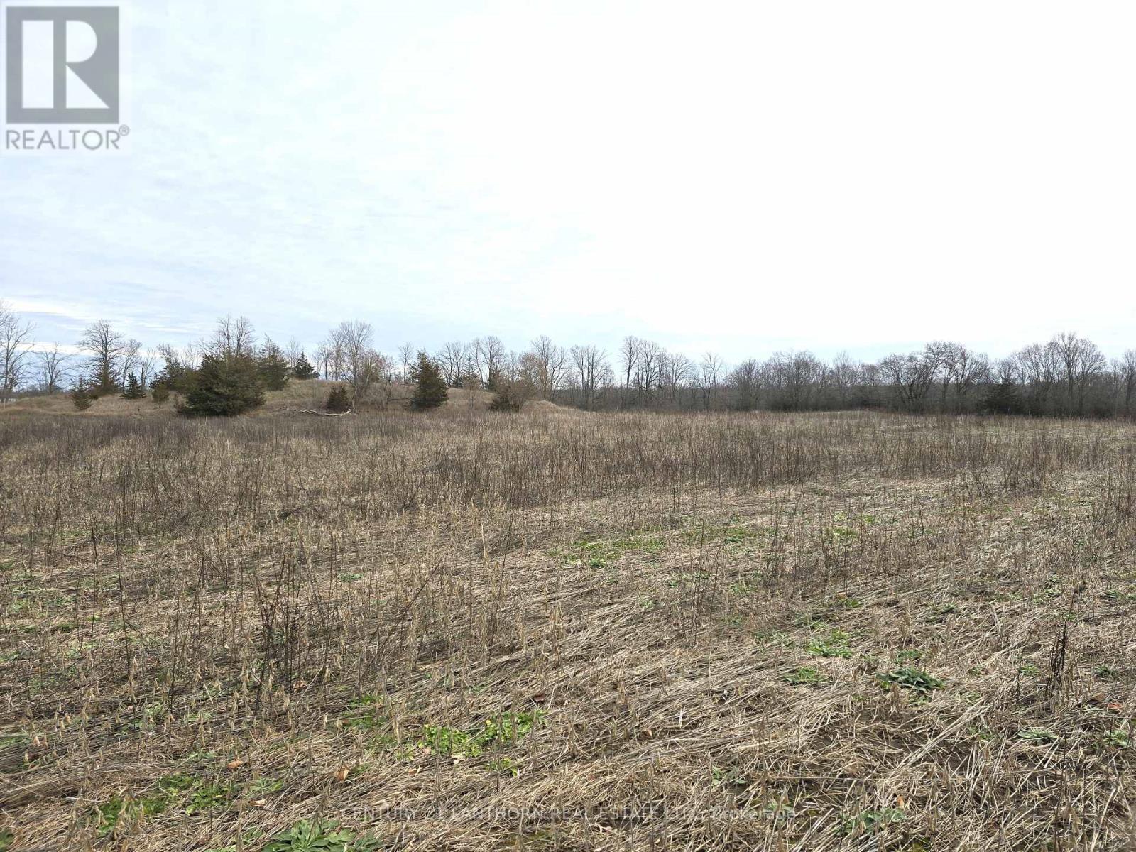 175 Hall Settlement Road, Belleville, Ontario  K0K 2V0 - Photo 33 - X12585740