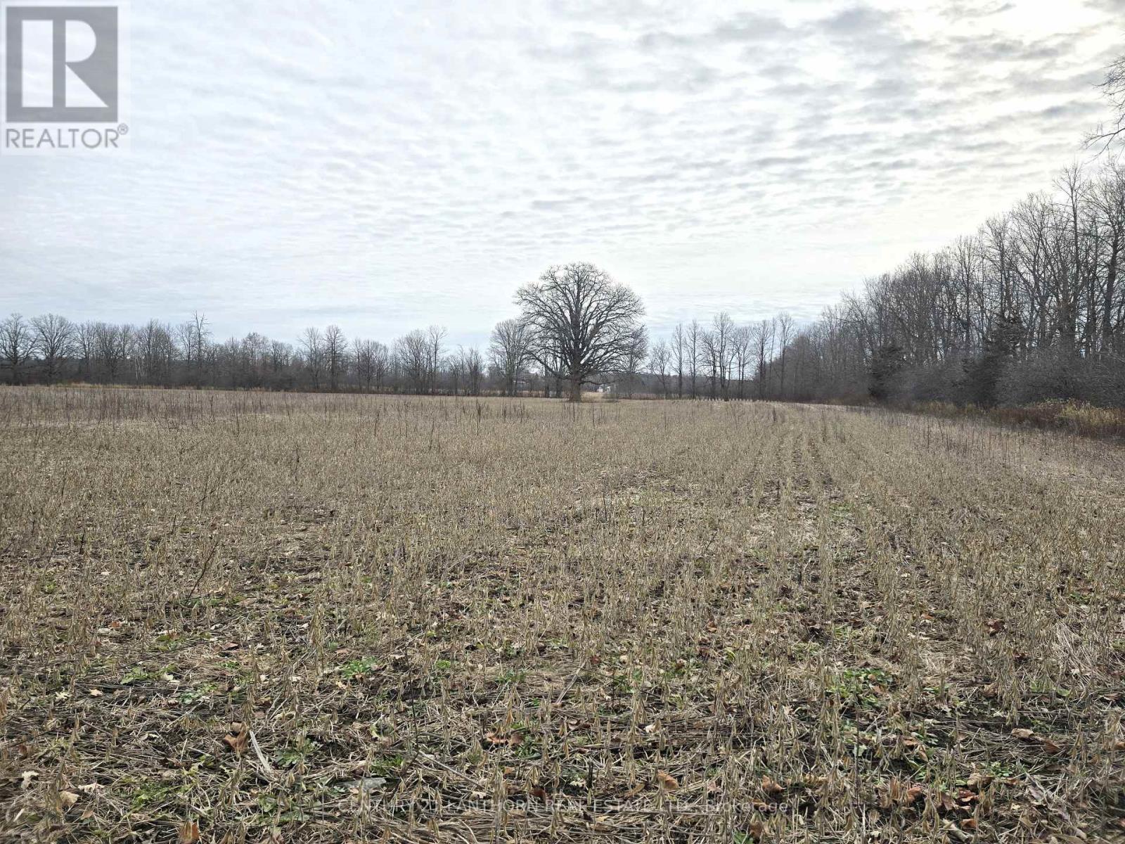 175 Hall Settlement Road, Belleville, Ontario  K0K 2V0 - Photo 29 - X12585740