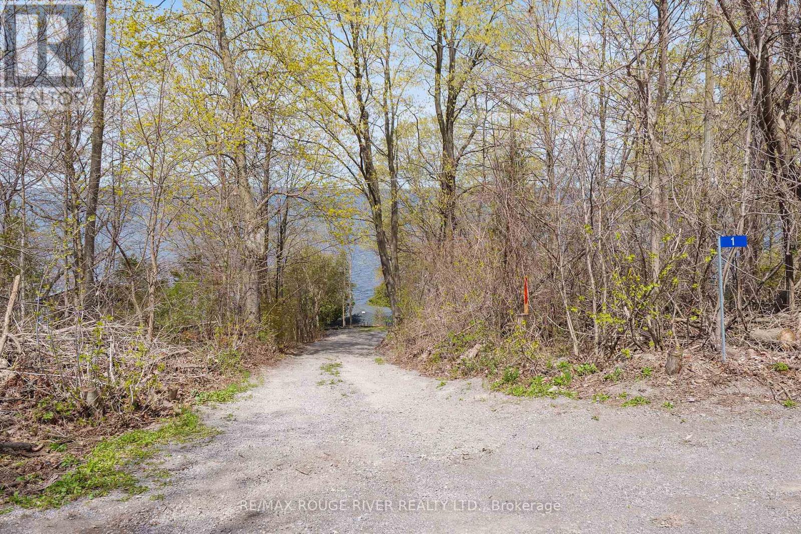 7276 County Rd 18 Road, Alnwick/haldimand, Ontario  K0K 2X0 - Photo 30 - X13090590