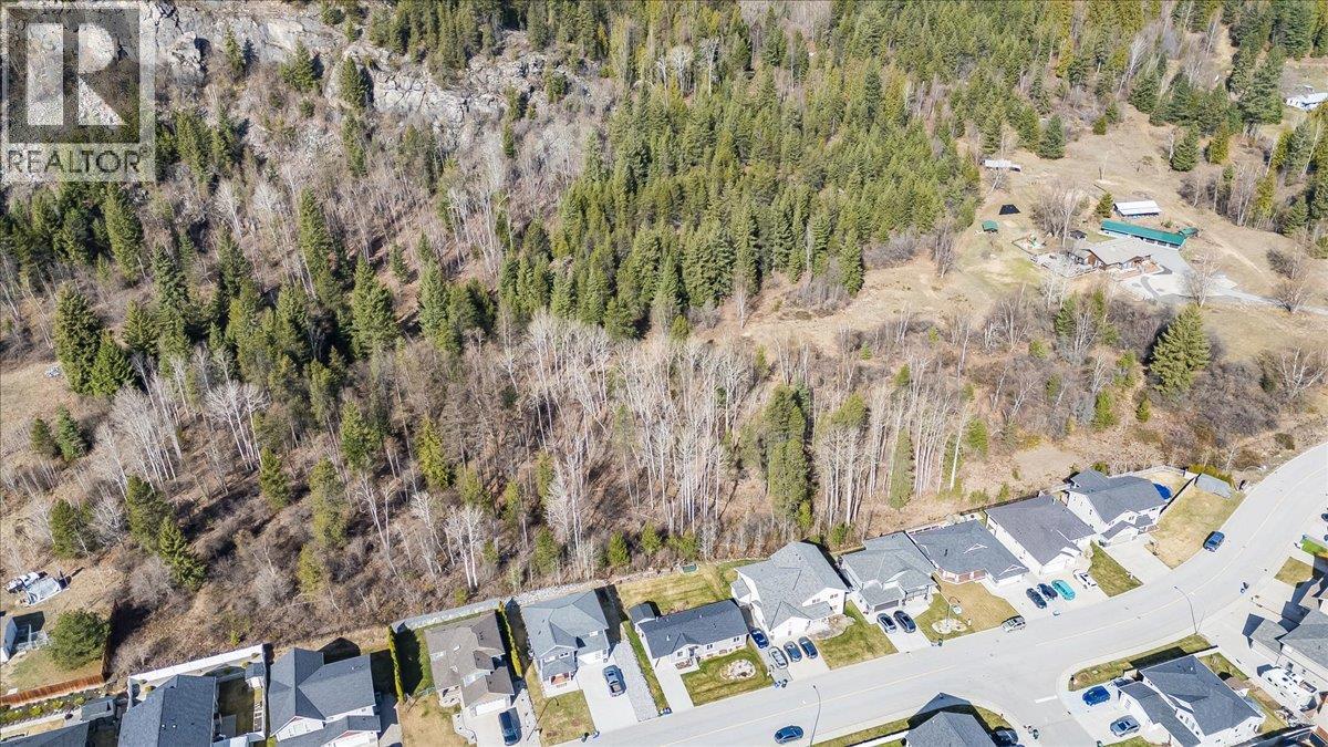 4008 16th Avenue, Castlegar, British Columbia  V1N 4A2 - Photo 14 - 10382931