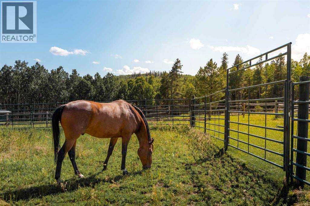 162104 376 Street W, Rural Foothills County, Alberta  T3Z 3R3 - Photo 47 - A2290037