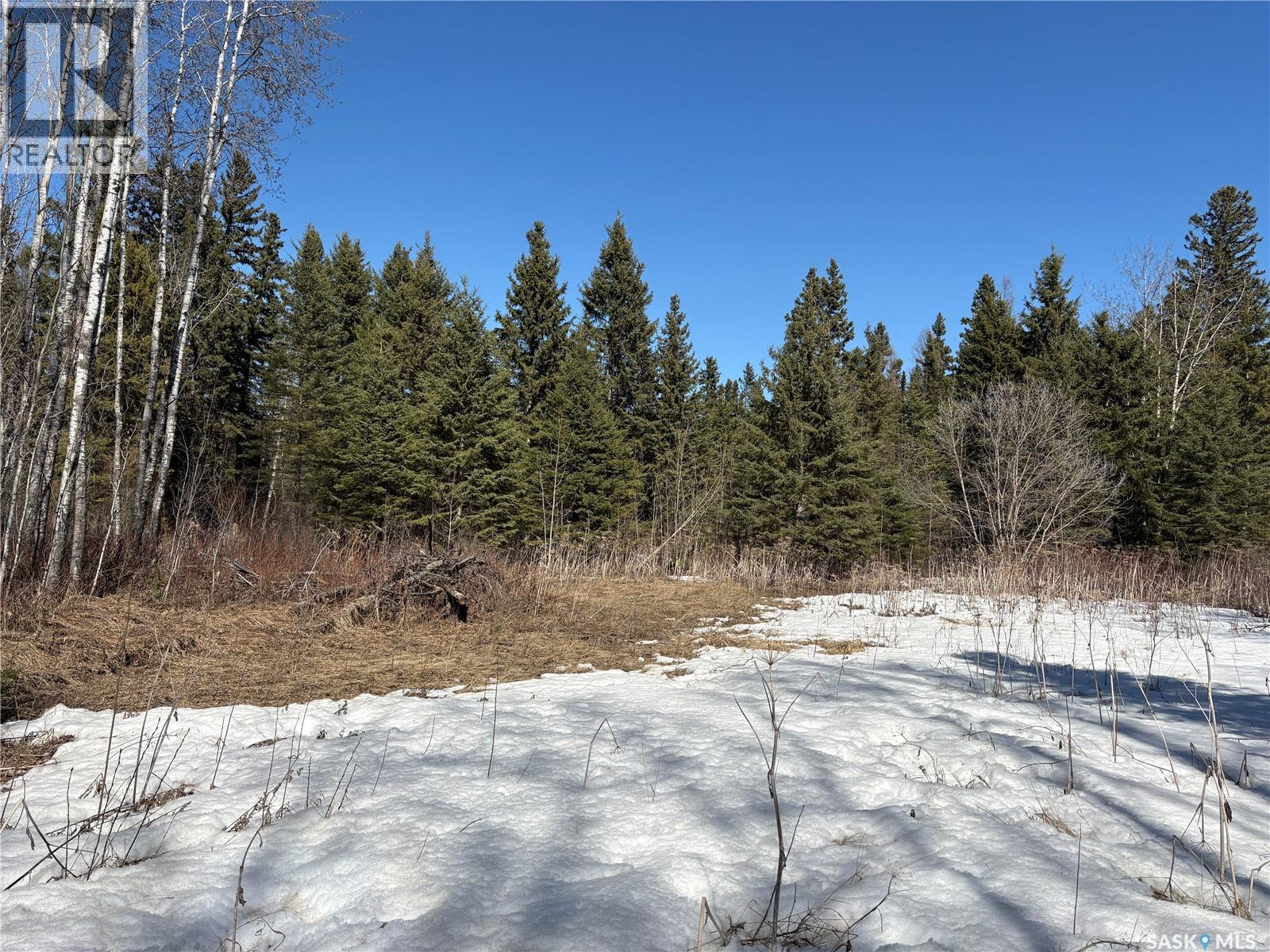 Delaronde Lake 30 Acres Forest, Big River Rm No. 555, Saskatchewan