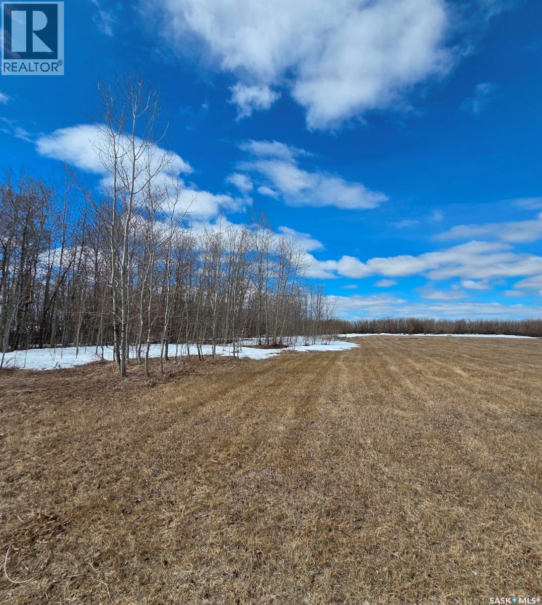 Hall Acreage, Pleasantdale Rm No. 398, Saskatchewan  S0K 3H0 - Photo 3 - SK029092