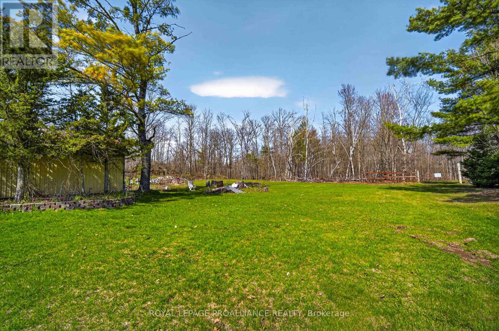 4007 County 6 Road, North Kawartha, Ontario  K0L 2H0 - Photo 43 - X13012508