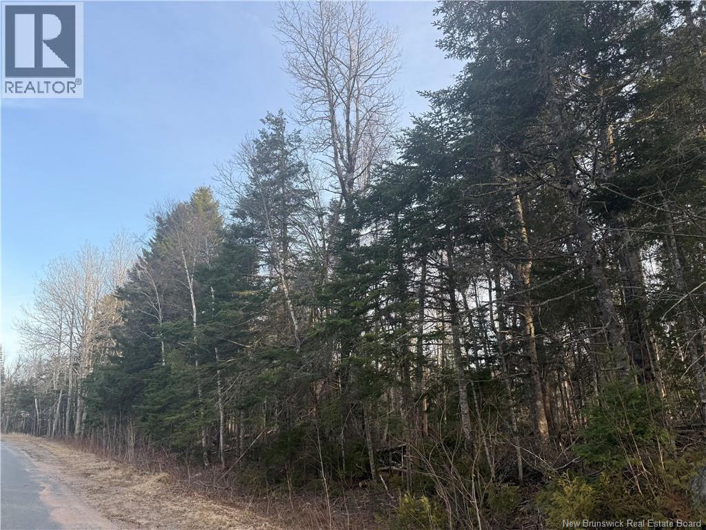 Mckay Loop Road, Pennfield, New Brunswick  E5H 2L2 - Photo 5 - NB136960