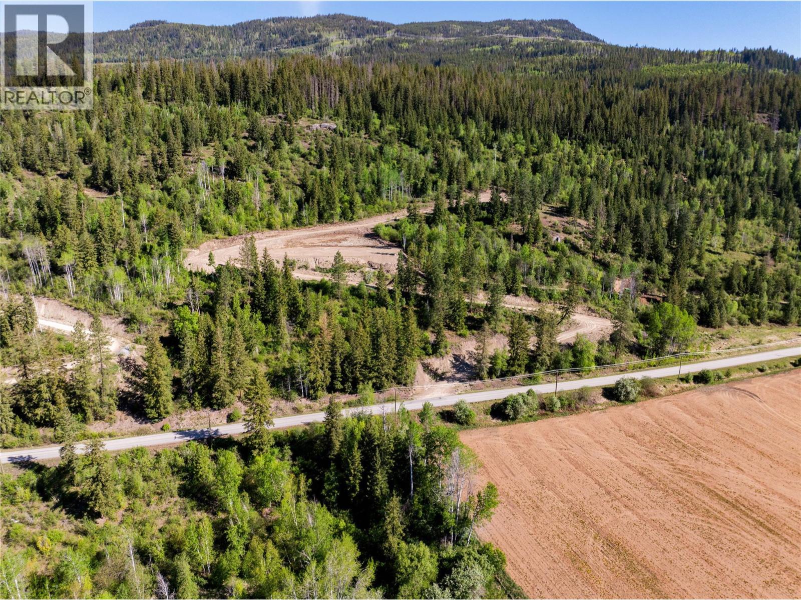 1471 Enderby Mabel Lake Road, Enderby, British Columbia  V0E 1V5 - Photo 3 - 10352642