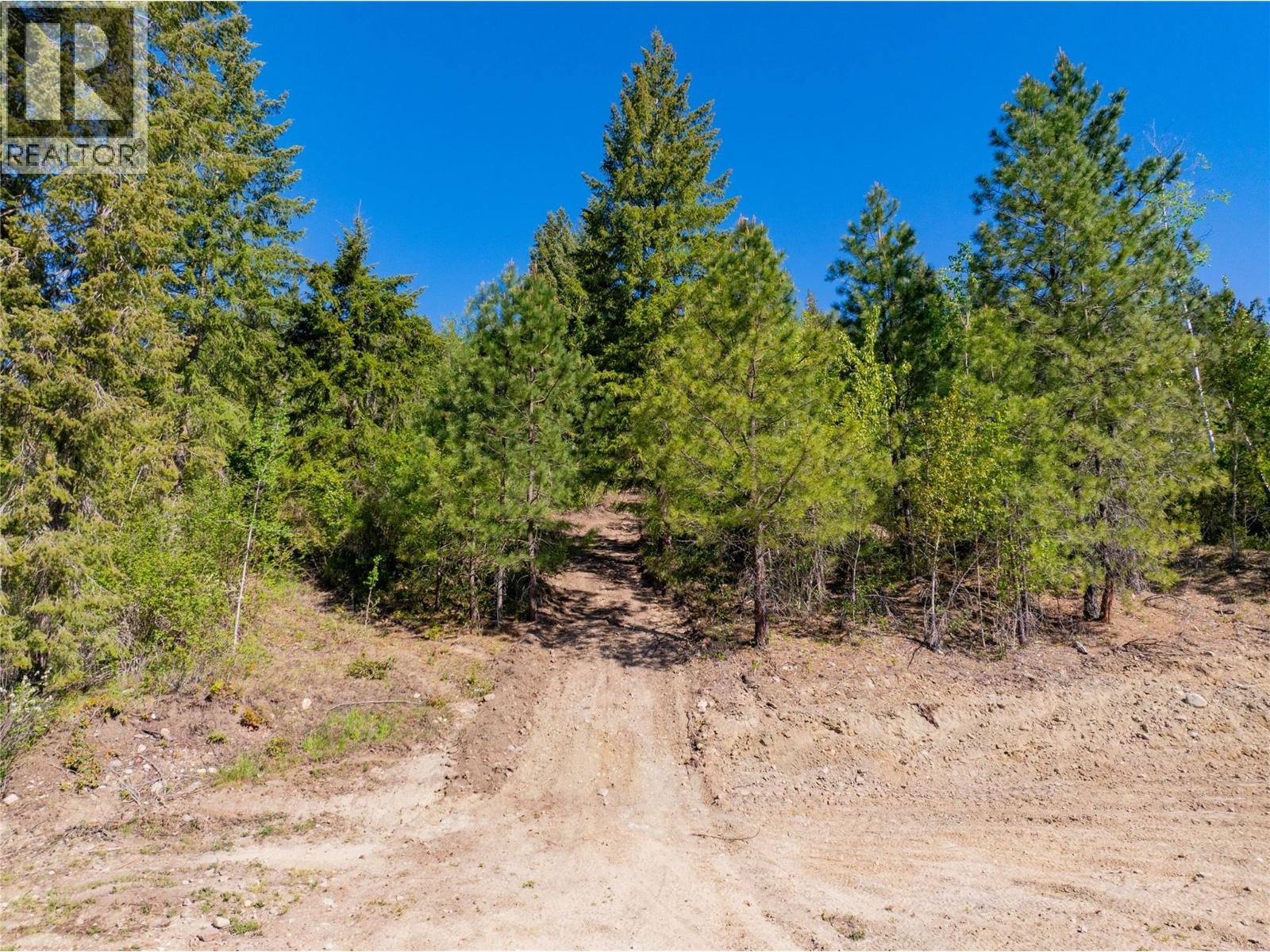 1471 Enderby Mabel Lake Road, Enderby, British Columbia  V0E 1V5 - Photo 15 - 10352642