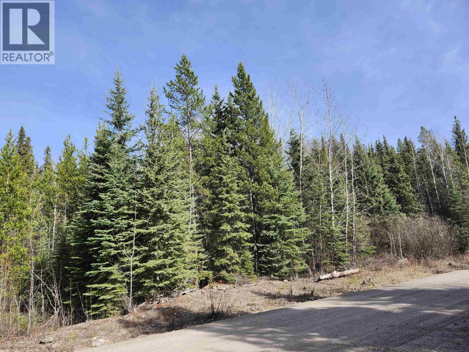 Lot 15 N Binta Main Forest Service Road, Burns Lake, British Columbia V0J 1E4 - Photo 5 - R3118514