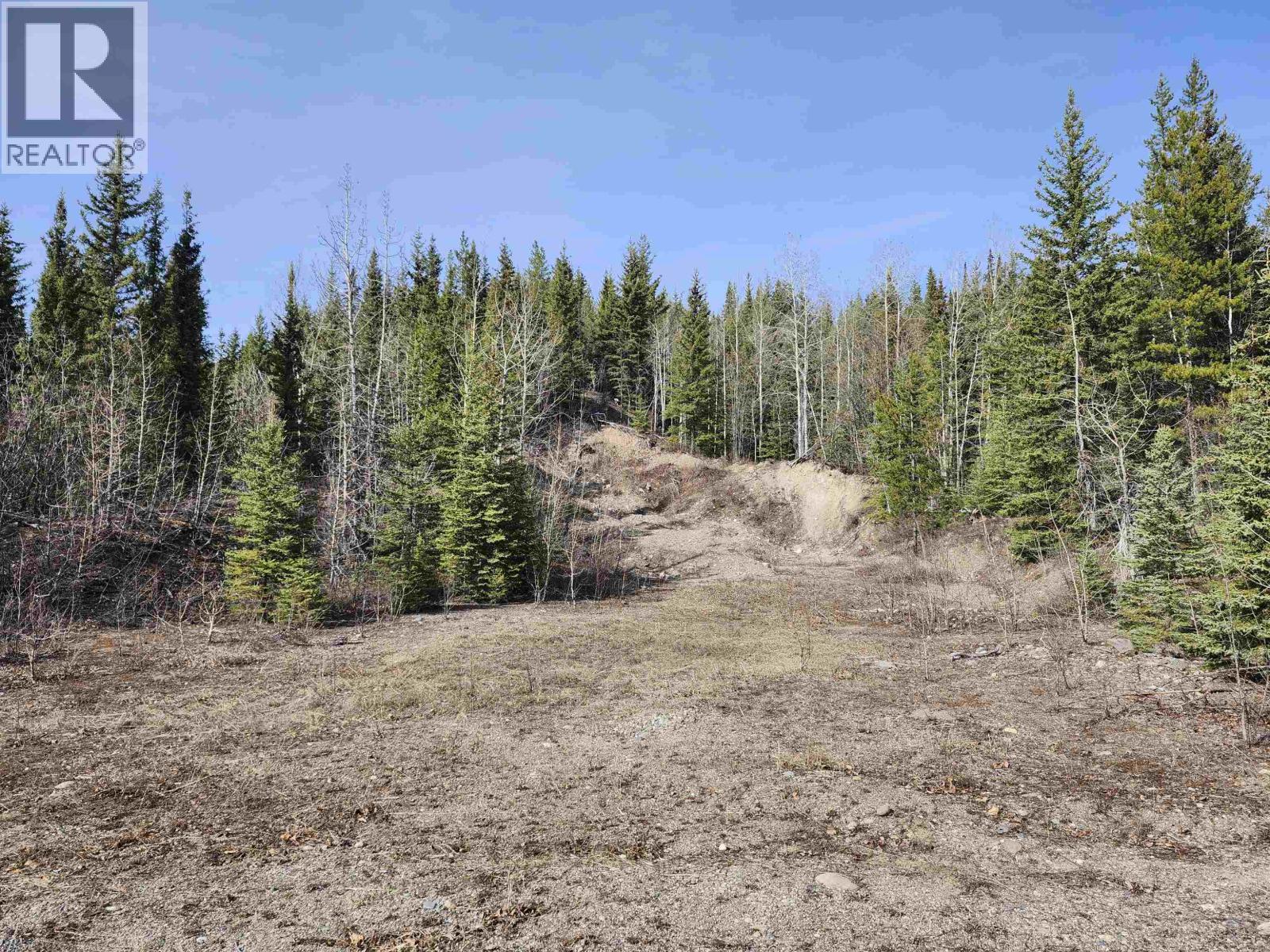 Lot 15 N Binta Main Forest Service Road, Burns Lake, British Columbia V0J 1E4 - Photo 3 - R3118514