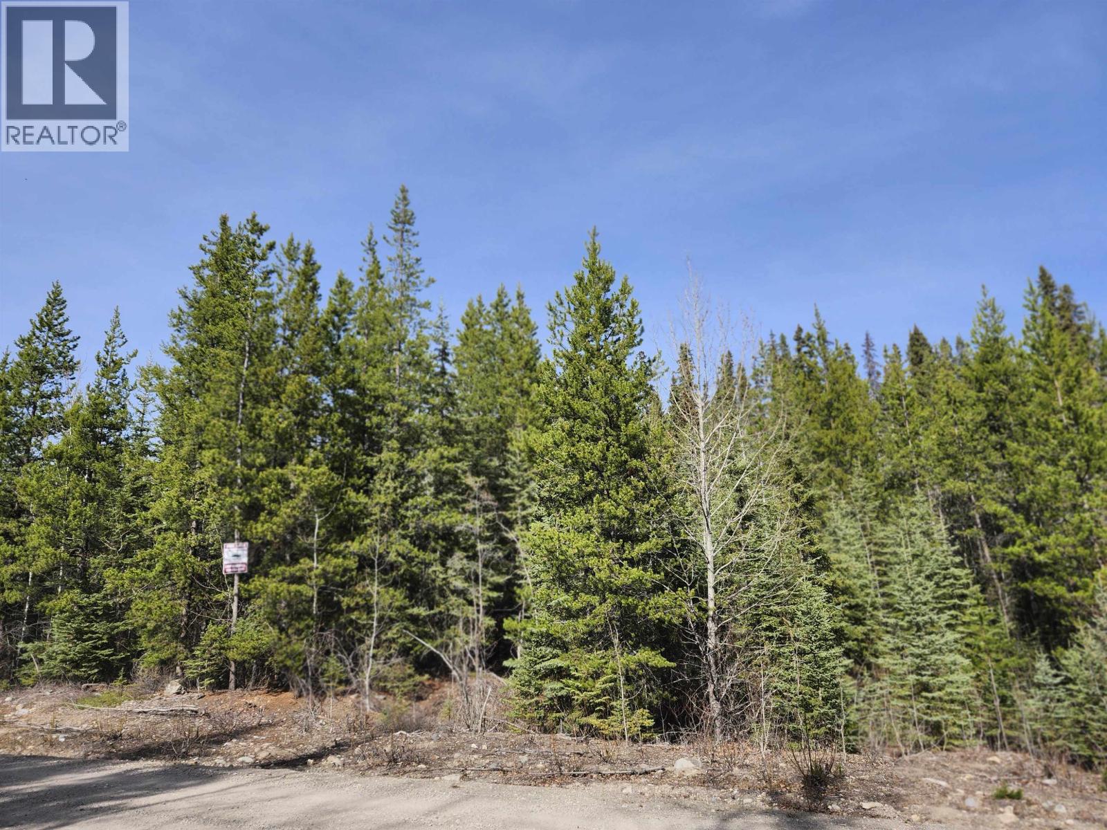 Lot 15 N Binta Main Forest Service Road, Burns Lake, British Columbia V0J 1E4 - Photo 4 - R3118514