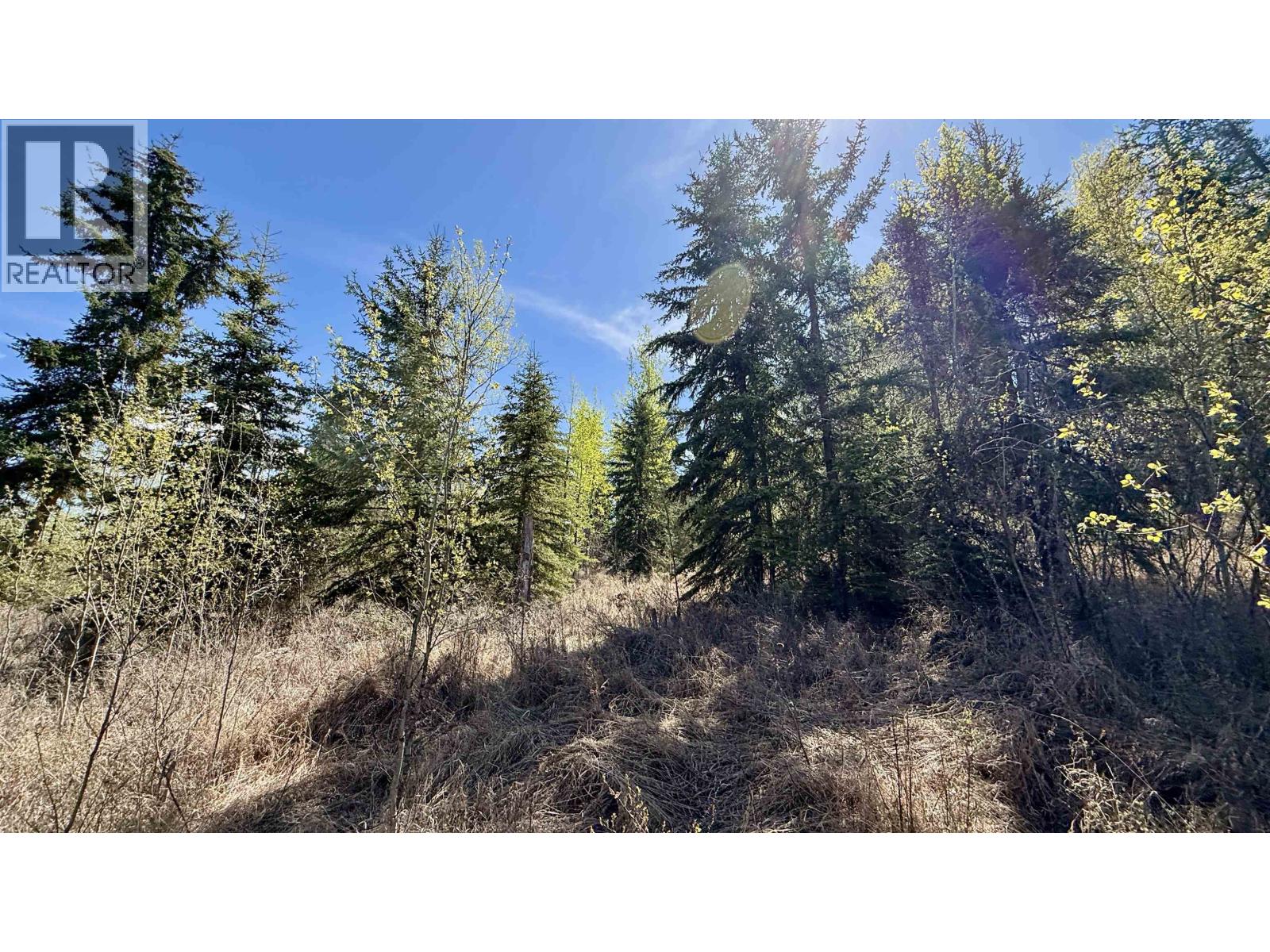 Lot 1 97 Highway, Lac La Hache, British Columbia  V0K 1T0 - Photo 11 - R3064349