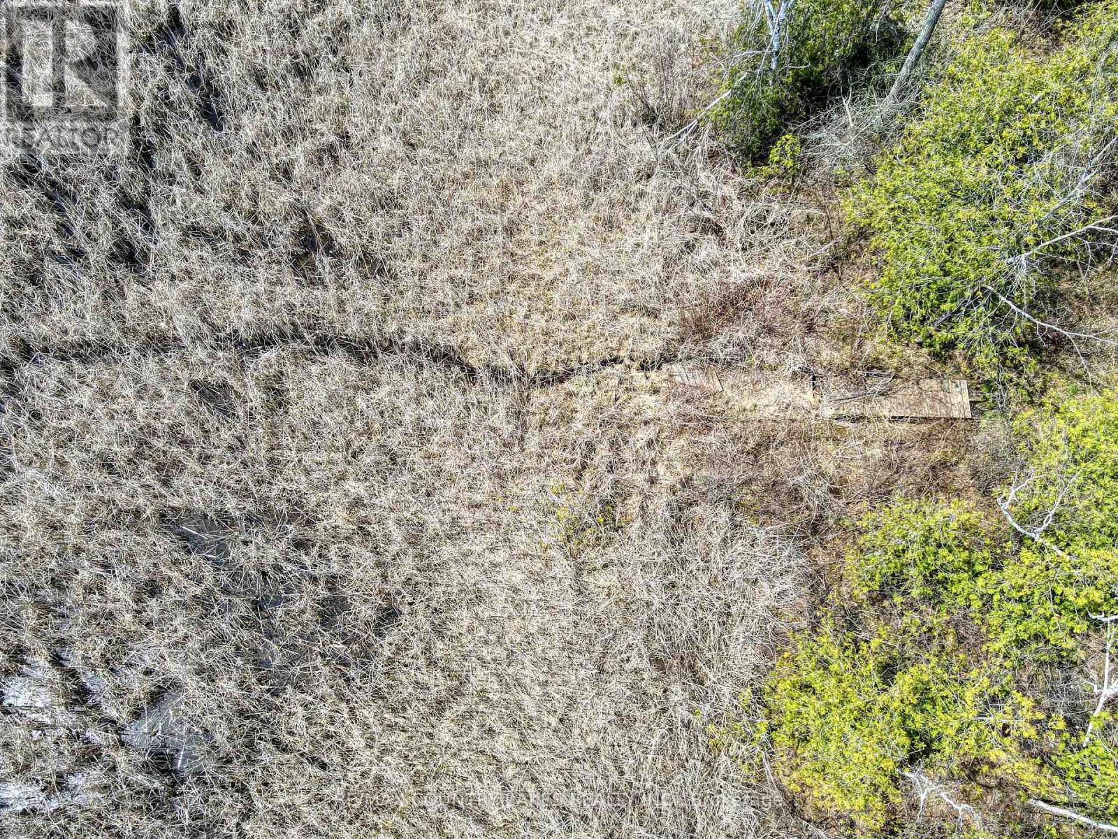 126 Mcguire Beach Road, Kawartha Lakes, Ontario  K0M 2B0 - Photo 33 - X13090826