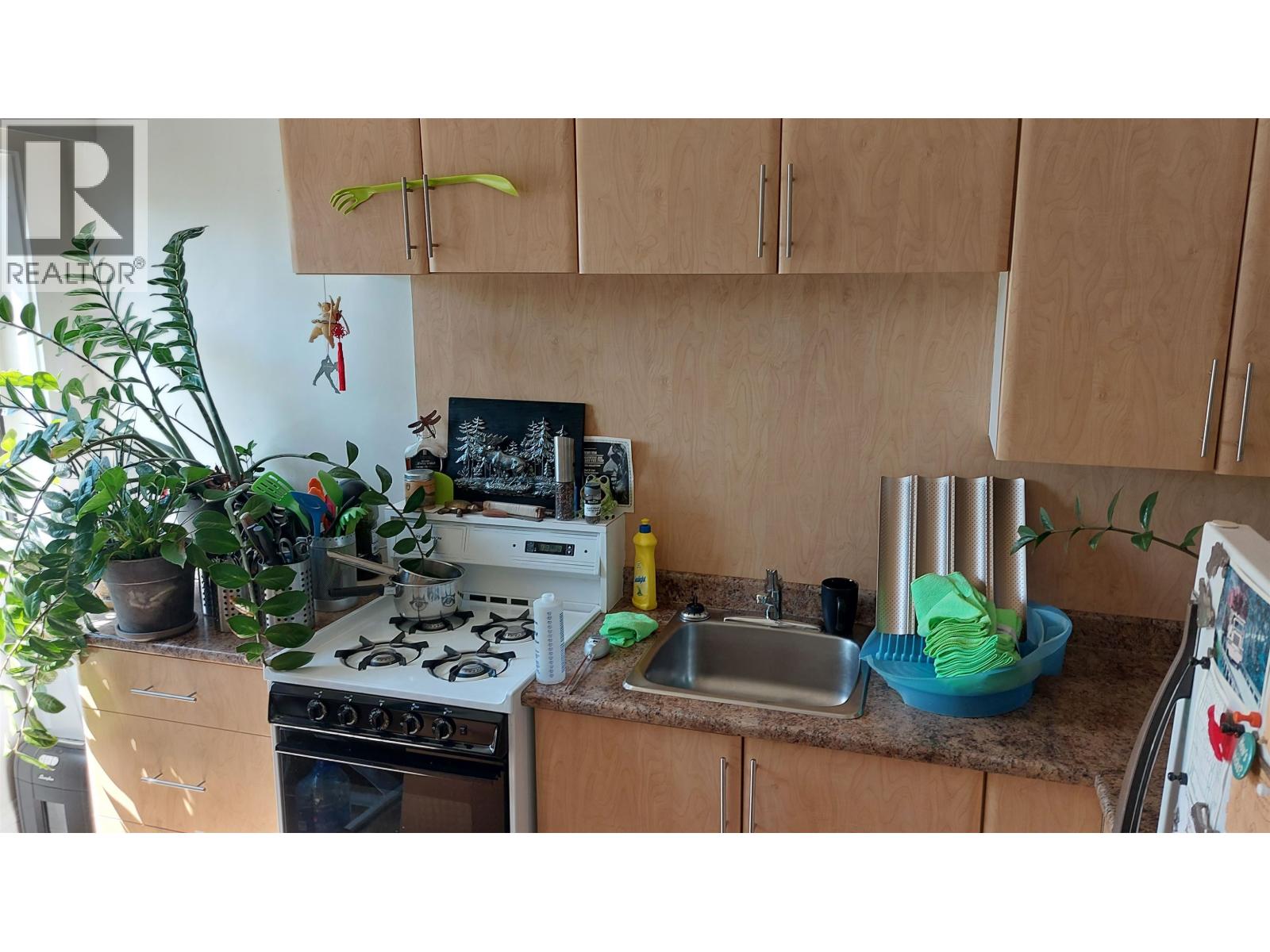 1951 Napier Street, Vancouver, British Columbia  V5L 2N6 - Photo 8 - R3119550