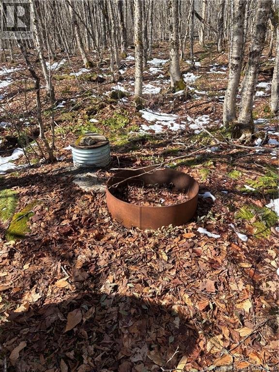 Lot 88-9 Old Shepody Rd, Shepody, New Brunswick  E4E 5R9 - Photo 19 - NB138726