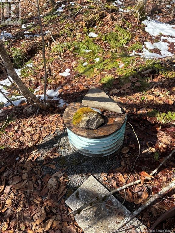 Lot 88-9 Old Shepody Rd, Shepody, New Brunswick  E4E 5R9 - Photo 20 - NB138726