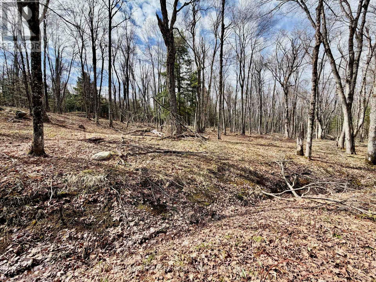 2388 Doe Lake Road, Gravenhurst, Ontario  P1P 1R3 - Photo 16 - X13091212