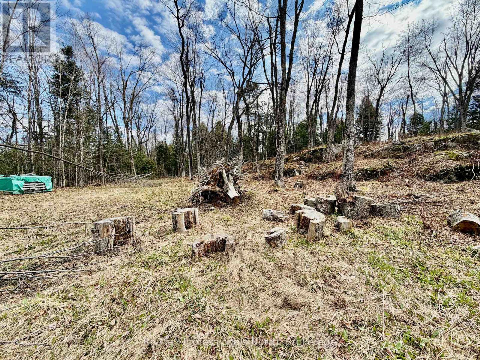 2388 Doe Lake Road, Gravenhurst, Ontario  P1P 1R3 - Photo 30 - X13091212