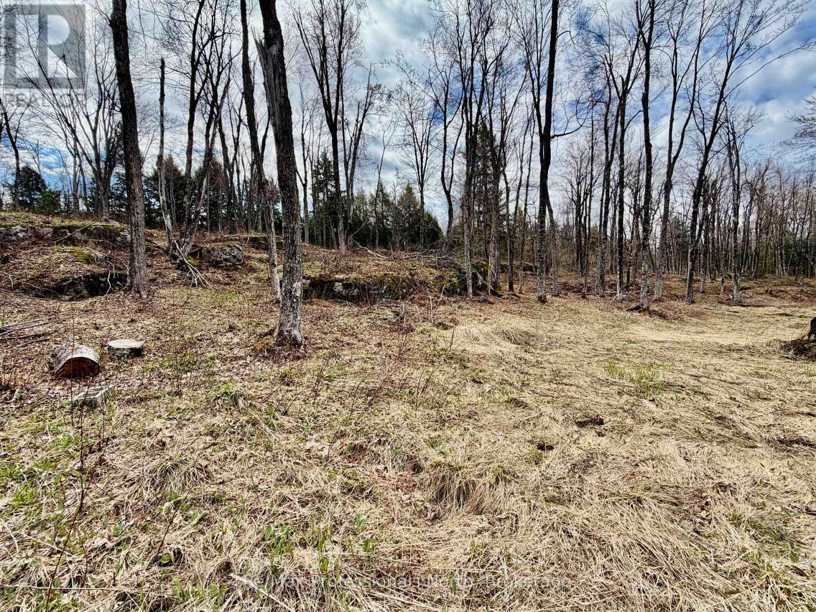 2388 Doe Lake Road, Gravenhurst, Ontario  P1P 1R3 - Photo 31 - X13091212
