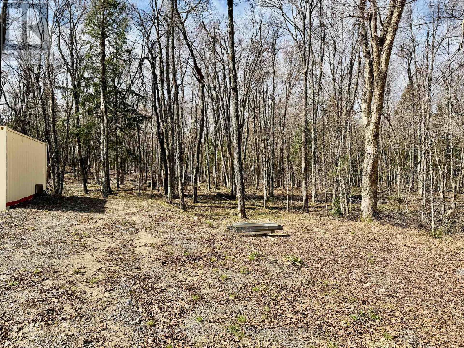 2388 Doe Lake Road, Gravenhurst, Ontario  P1P 1R3 - Photo 8 - X13091212
