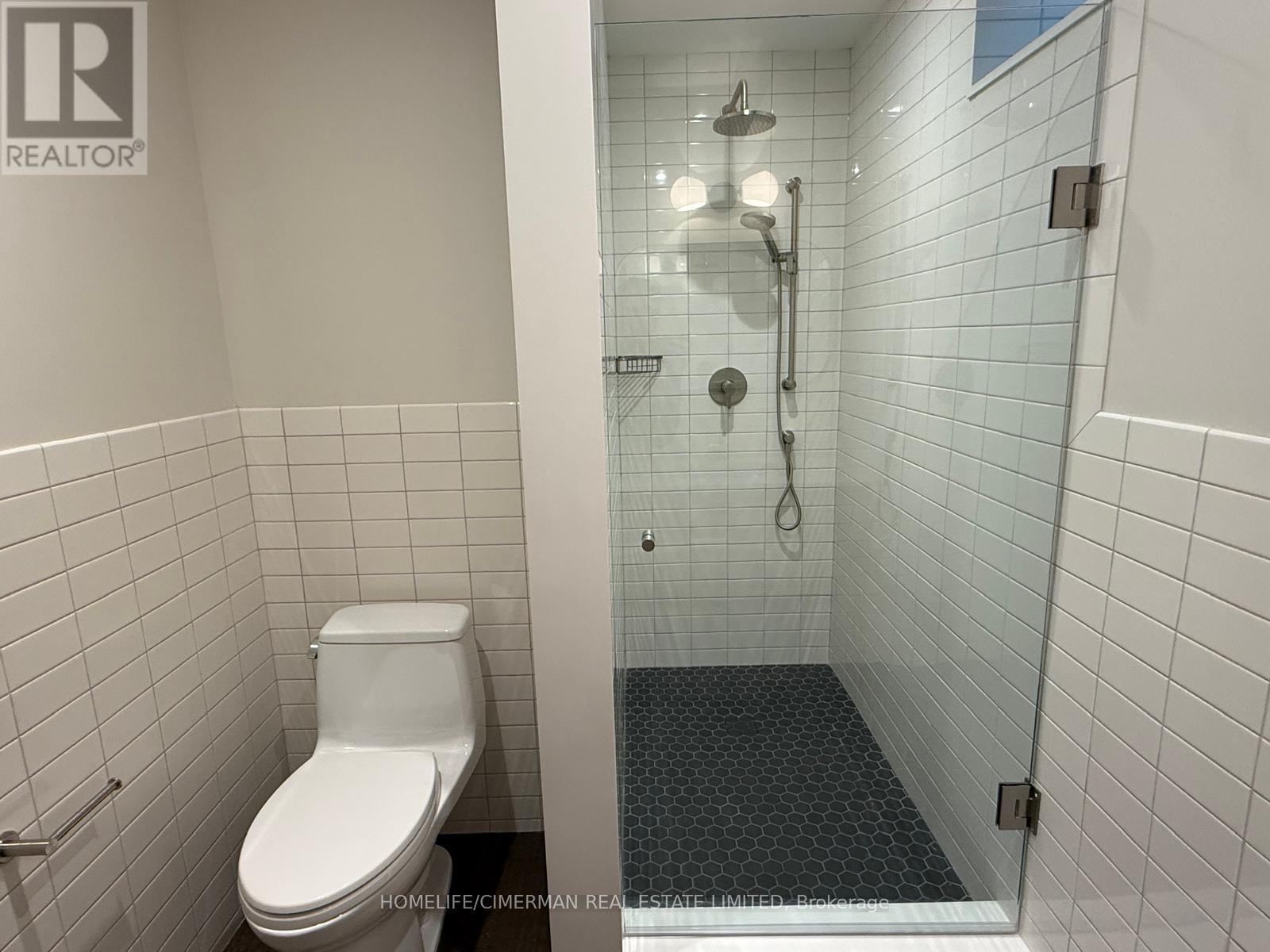 Lower - 328 Palmerston Boulevard, Toronto, Ontario  M6G 2N6 - Photo 7 - C13091156