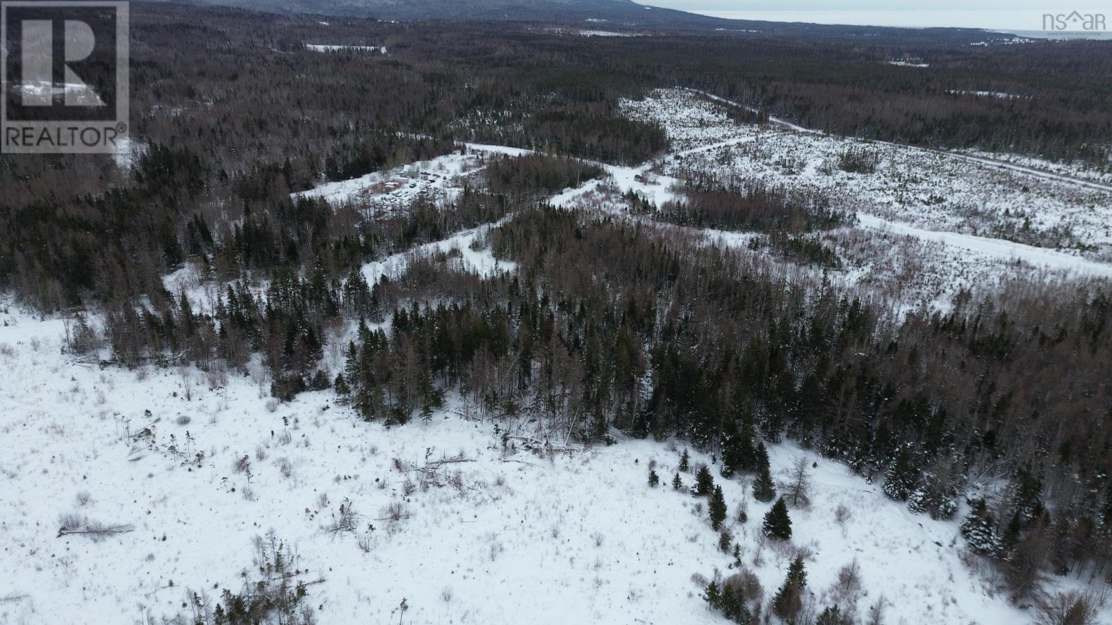 John D Macdonald Road, Judique South, Nova Scotia  B0E 1P0 - Photo 10 - 202601563