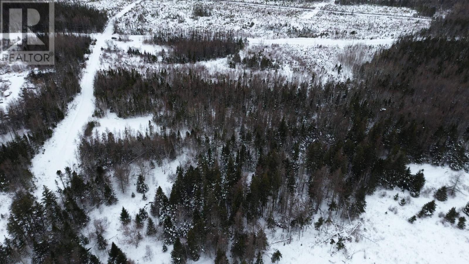 John D Macdonald Road, Judique South, Nova Scotia  B0E 1P0 - Photo 9 - 202601563
