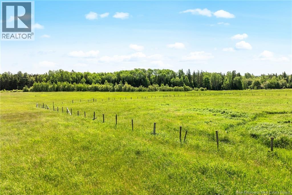 240 Briggs Corner Road, Briggs Corner, New Brunswick  E4A 1X3 - Photo 40 - NB138908