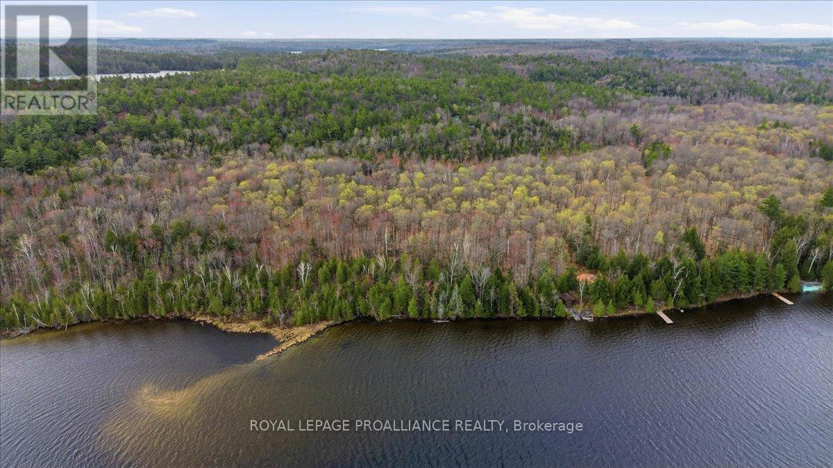 0 Rekrview Lane, North Frontenac, Ontario  K0H 1K0 - Photo 11 - X13091324