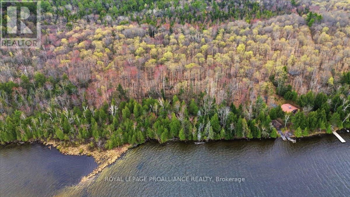 0 Rekrview Lane, North Frontenac, Ontario  K0H 1K0 - Photo 12 - X13091324