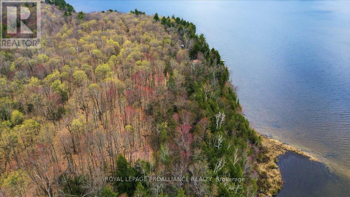 0 Rekrview Lane, North Frontenac, Ontario  K0H 1K0 - Photo 15 - X13091324