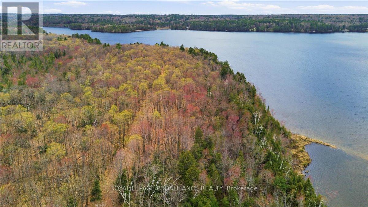 0 Rekrview Lane, North Frontenac, Ontario  K0H 1K0 - Photo 16 - X13091324