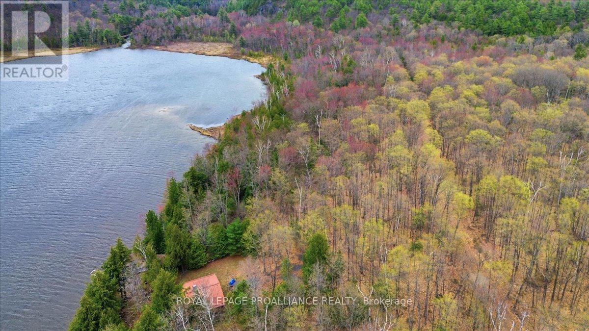 0 Rekrview Lane, North Frontenac, Ontario  K0H 1K0 - Photo 17 - X13091324