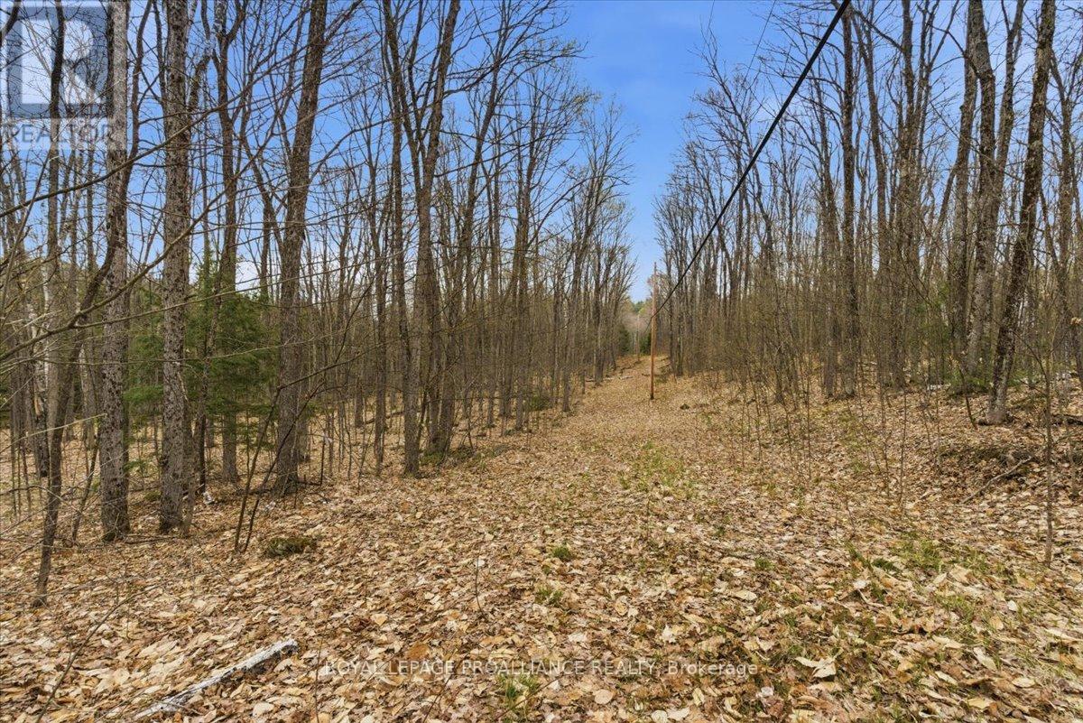 0 Rekrview Lane, North Frontenac, Ontario  K0H 1K0 - Photo 2 - X13091324