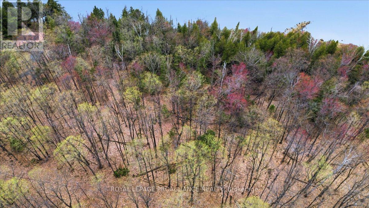 0 Rekrview Lane, North Frontenac, Ontario  K0H 1K0 - Photo 3 - X13091324