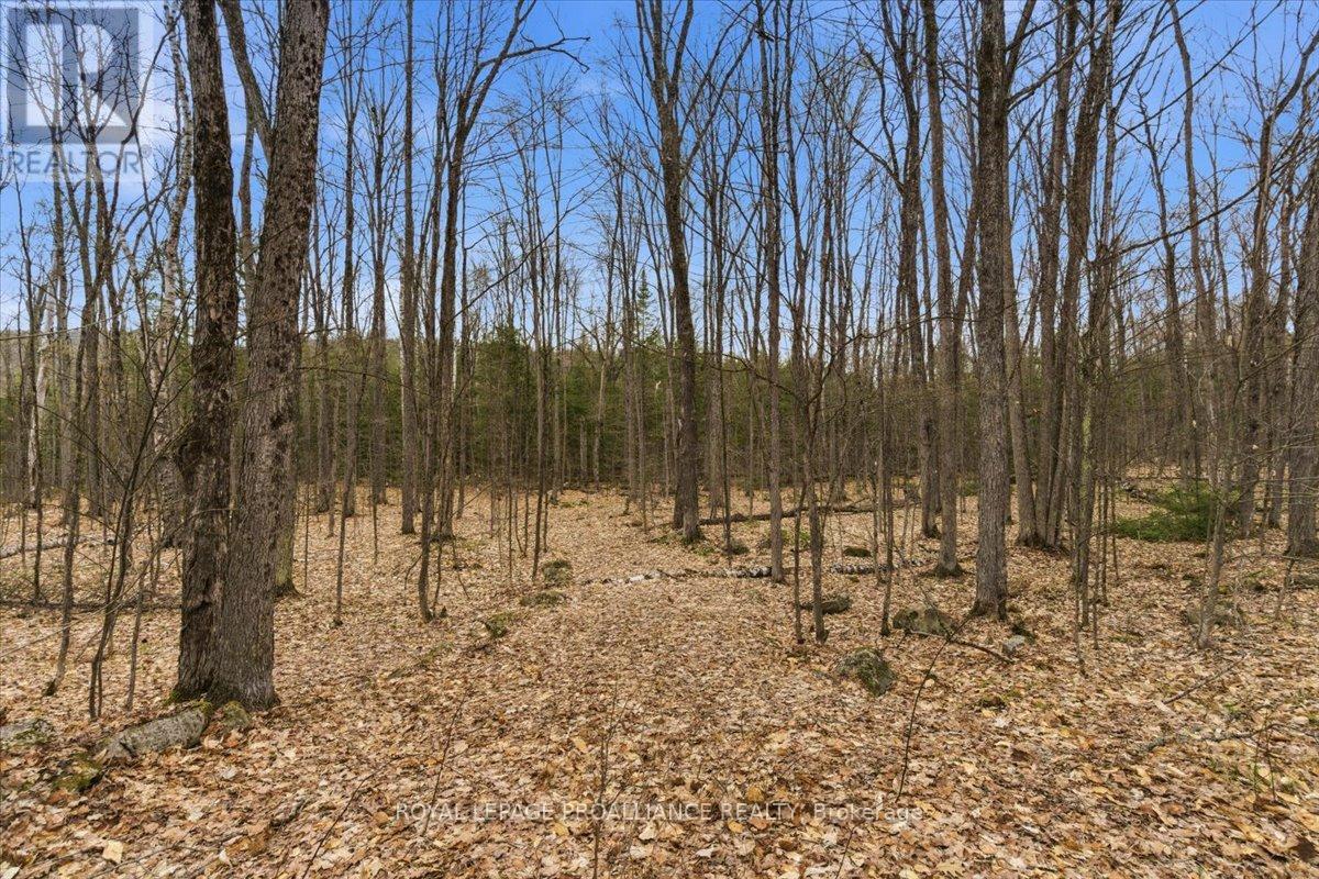 0 Rekrview Lane, North Frontenac, Ontario  K0H 1K0 - Photo 5 - X13091324