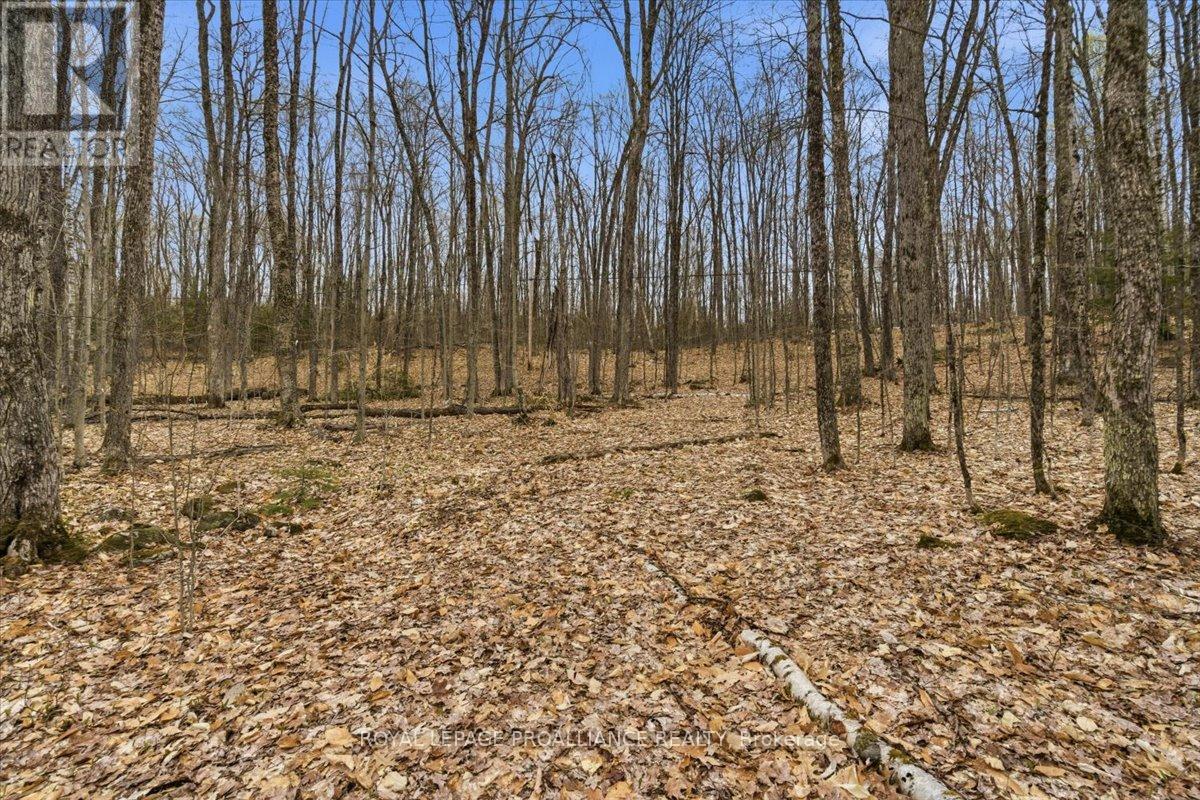 0 Rekrview Lane, North Frontenac, Ontario  K0H 1K0 - Photo 6 - X13091324