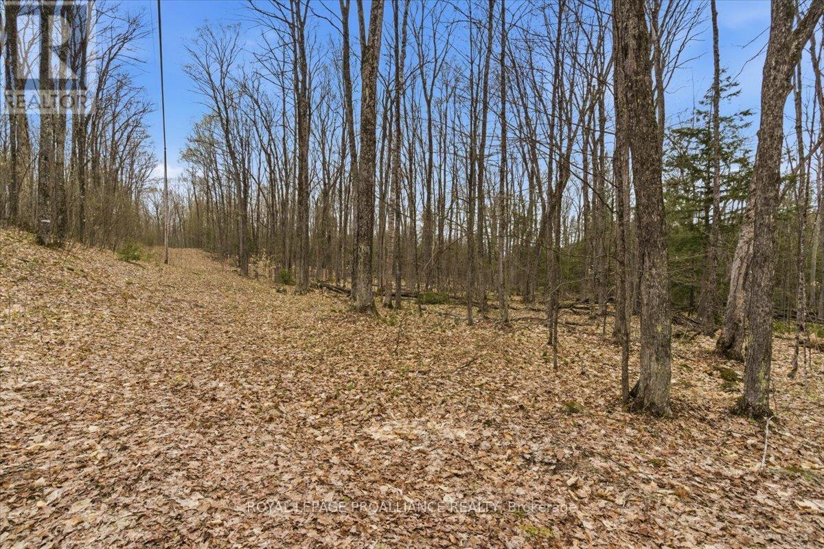0 Rekrview Lane, North Frontenac, Ontario  K0H 1K0 - Photo 7 - X13091324