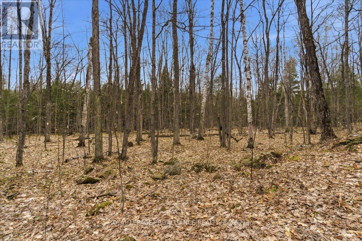 0 Rekrview Lane, North Frontenac, Ontario  K0H 1K0 - Photo 8 - X13091324