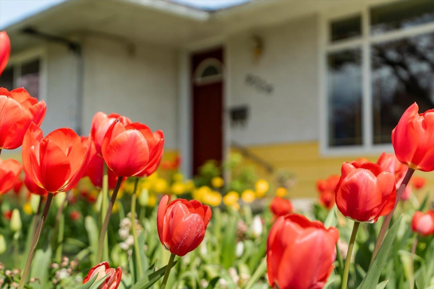9726 Juniper Street, Chilliwack Proper East, Chilliwack, British Columbia  V2P 5J1 - Photo 2 - R3113184
