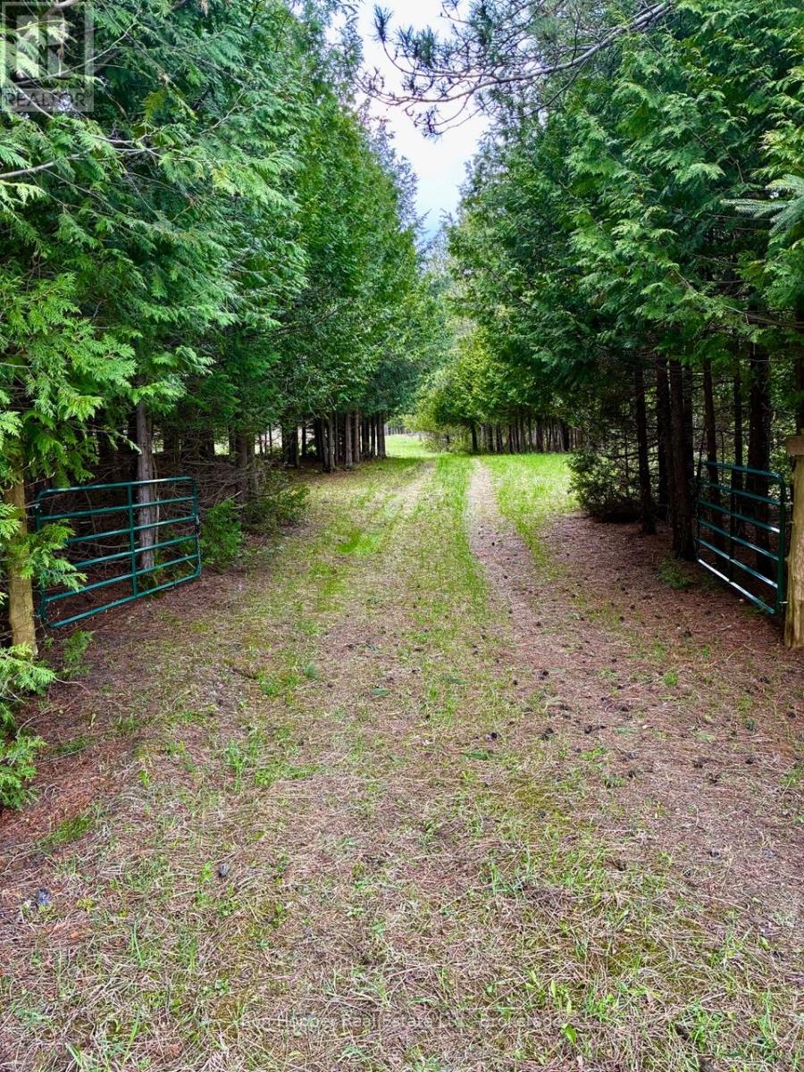 LT 24 CONC RD 6 ROAD, chatsworth, Ontario