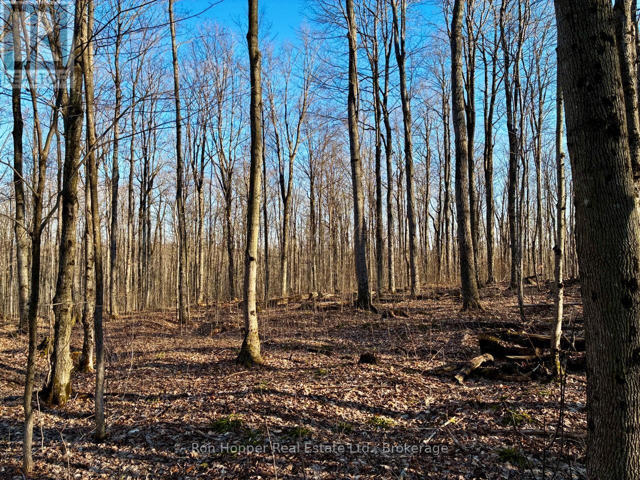 Lt 24 Conc Rd 6 Road, Chatsworth, Ontario  N0H 1K0 - Photo 11 - X13091550